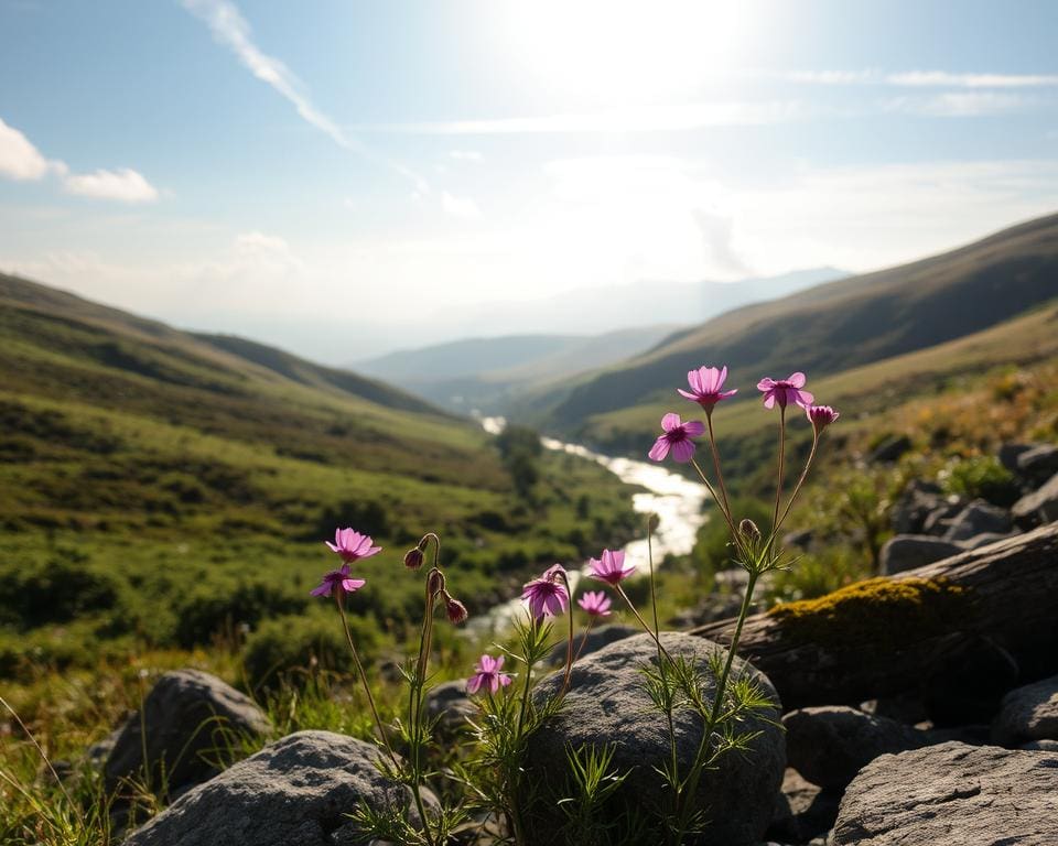 Wat zijn de voordelen van natuurlijke imperfectie?