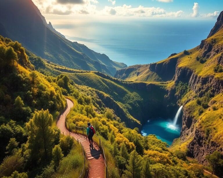 Waarom is Madeira een topbestemming voor wandelliefhebbers?